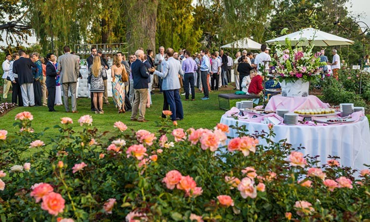eveningroses-roses-in-foreground-guests-and-tables-in-background